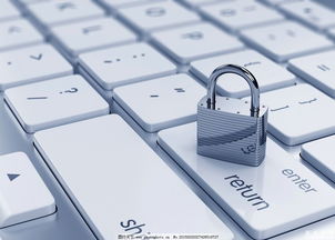 美國網絡安全專業 聚焦網絡與信息安全軟件開發，解析未來就業前景